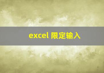 excel 限定输入